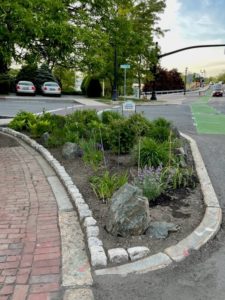 New Cobblestones at head of Federal Street Garden